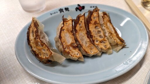 リトルスパイシー餃子