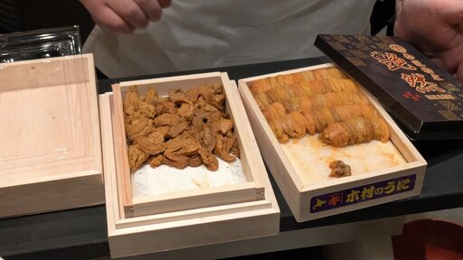 今日の雲丹