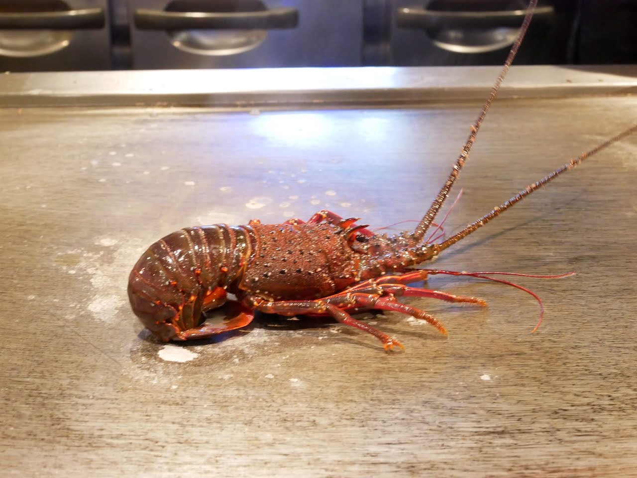 http://dinner.tokyo-review.com/images/1120554.jpg