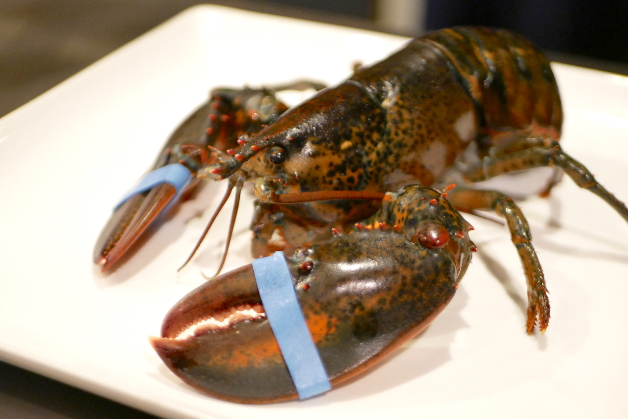 http://dinner.tokyo-review.com/images/1290648.jpg