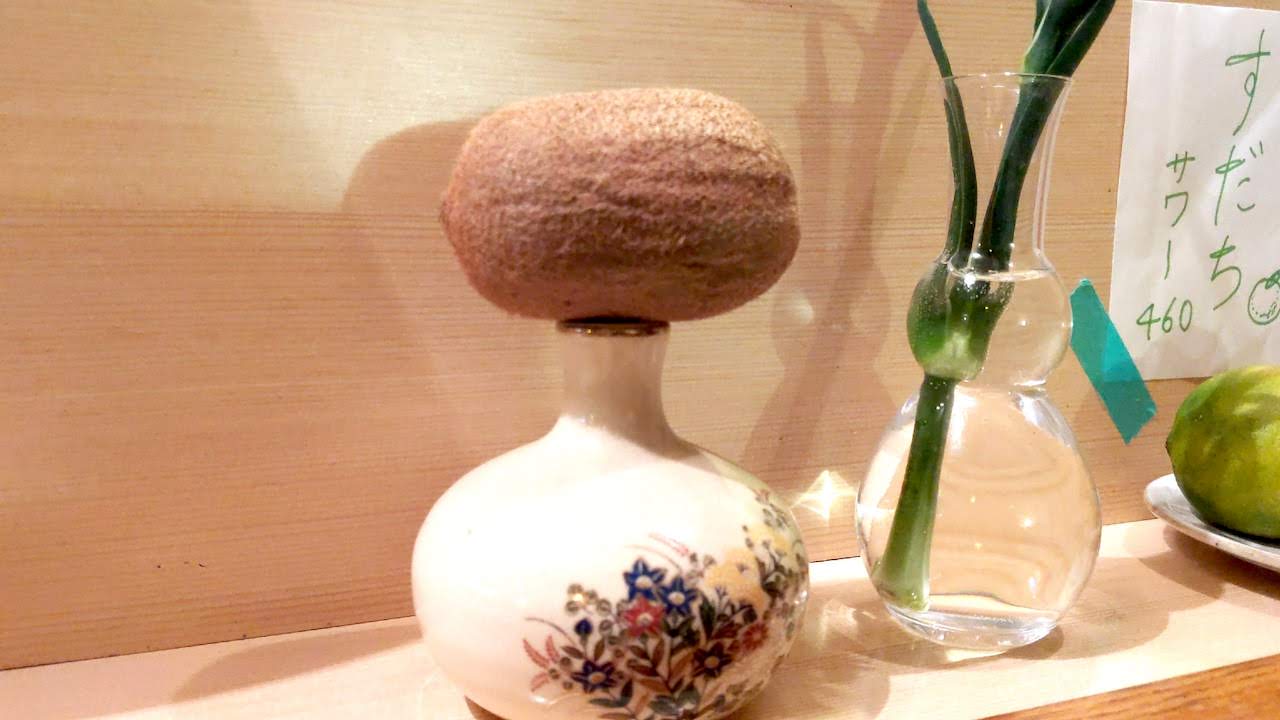 http://dinner.tokyo-review.com/images/cameringo_20191208_183154.jpg