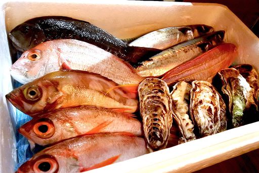 今日の鮮魚