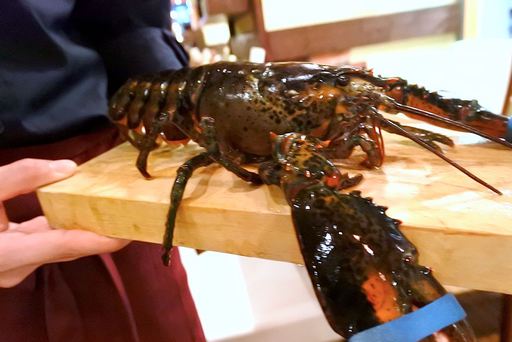オマール海老登場！