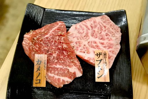 ザブトンとカメノコ